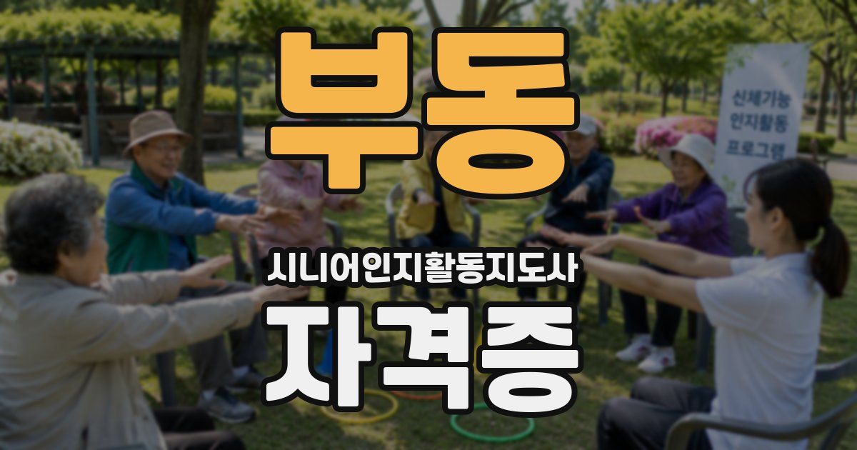 부동 시니어인지활동지도사 자격증