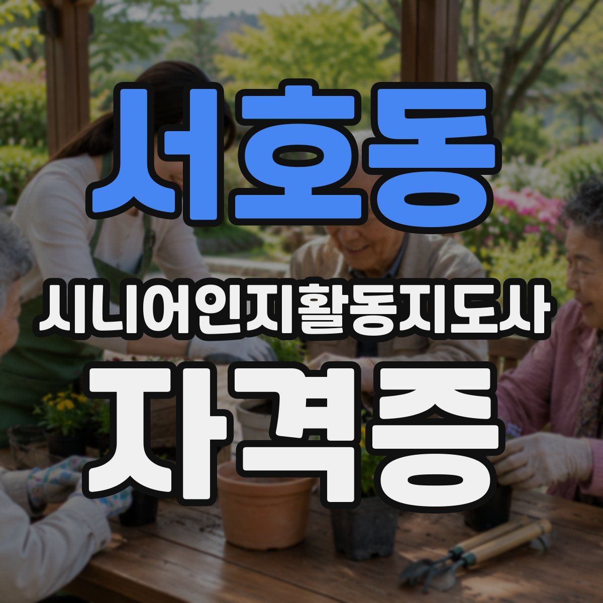 서호동 시니어인지활동지도사 자격증