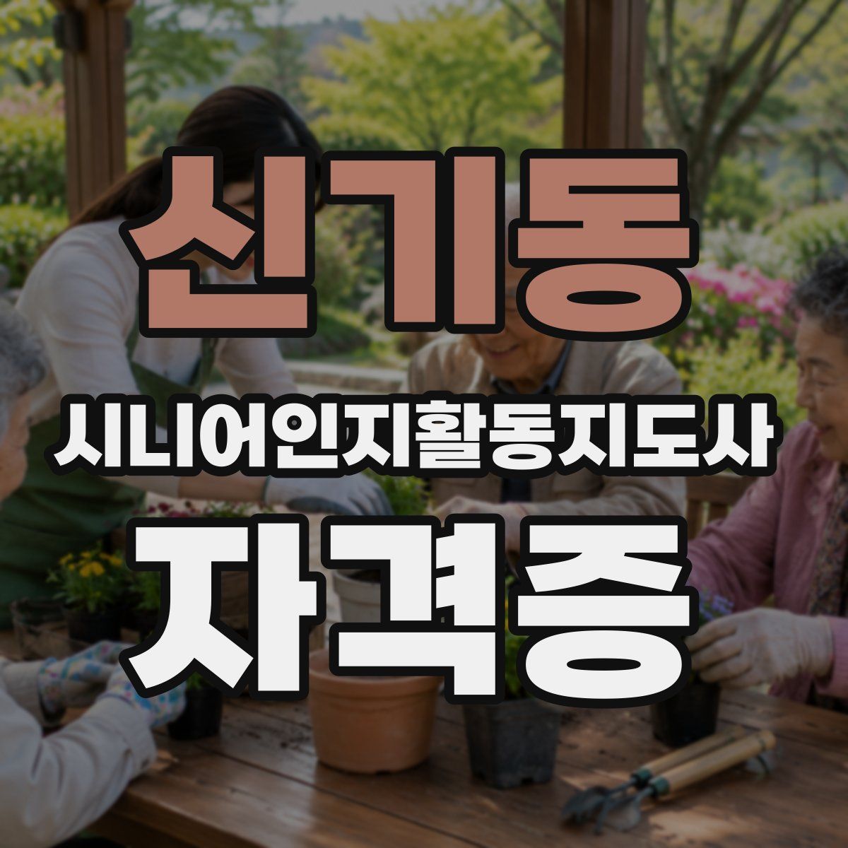 신기동 시니어인지활동지도사 자격증