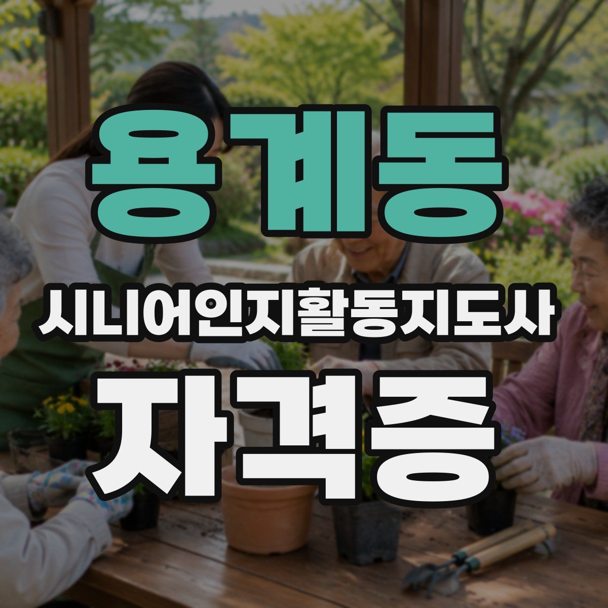 용계동 시니어인지활동지도사 자격증