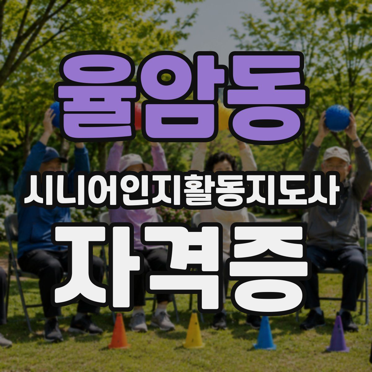 율암동 시니어인지활동지도사 자격증