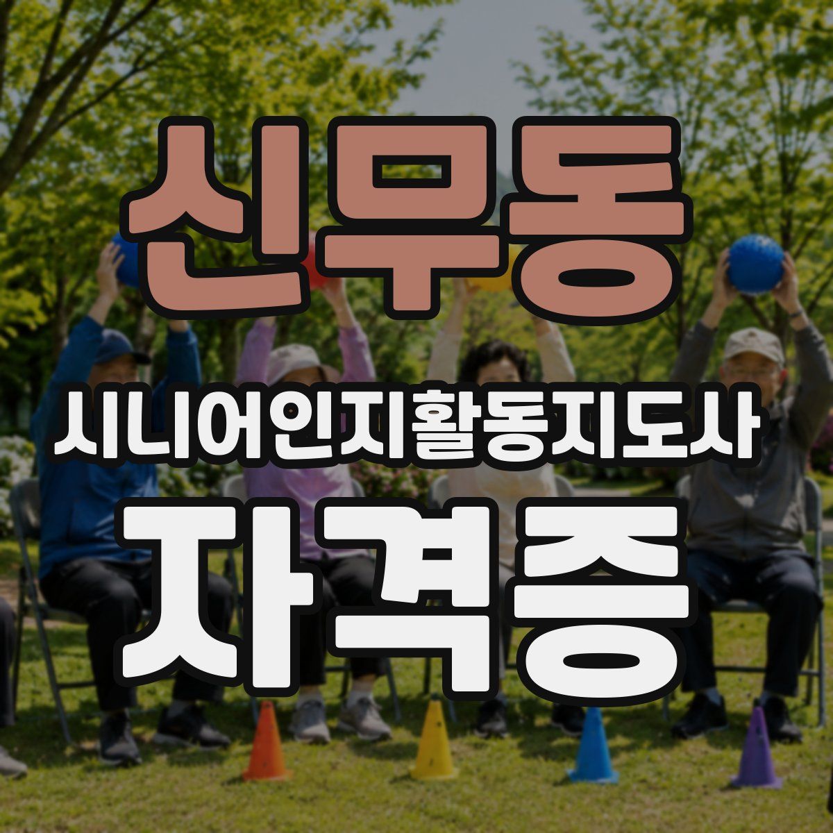신무동 시니어인지활동지도사 자격증