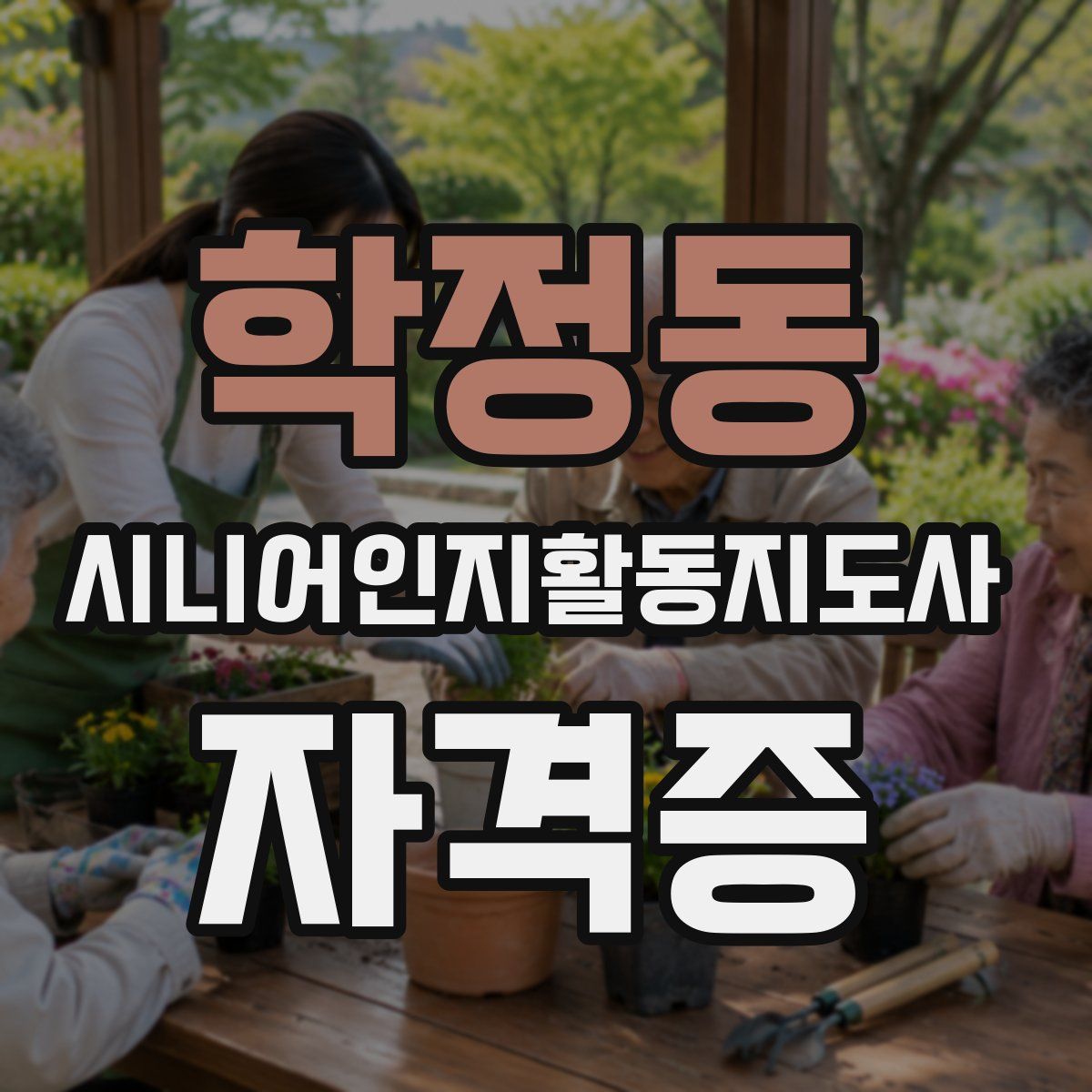 학정동 시니어인지활동지도사 자격증
