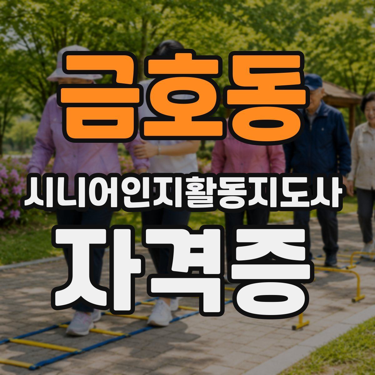 금호동 시니어인지활동지도사 자격증