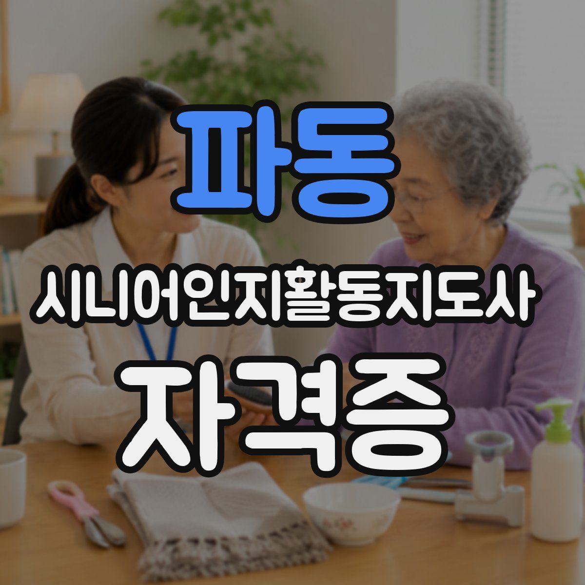 파동 시니어인지활동지도사 자격증