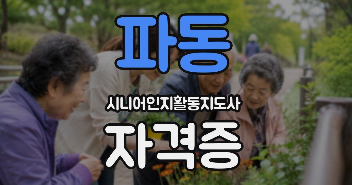 파동 시니어인지활동지도사 자격증