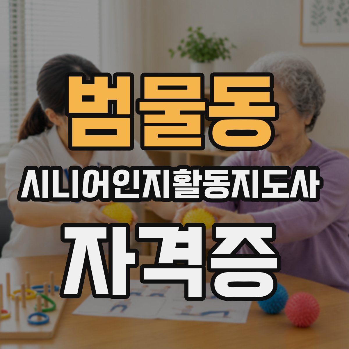 범물동 시니어인지활동지도사 자격증