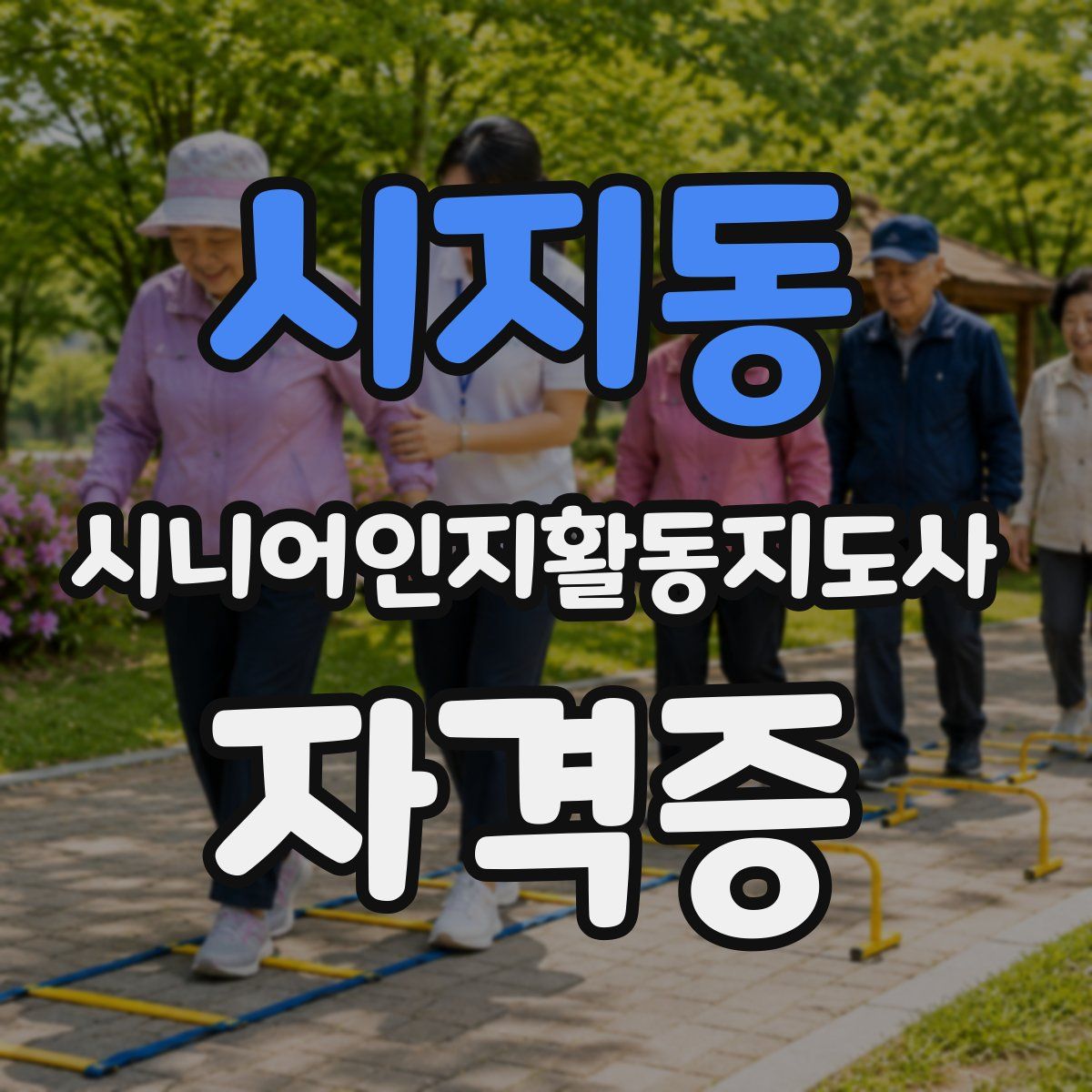 시지동 시니어인지활동지도사 자격증