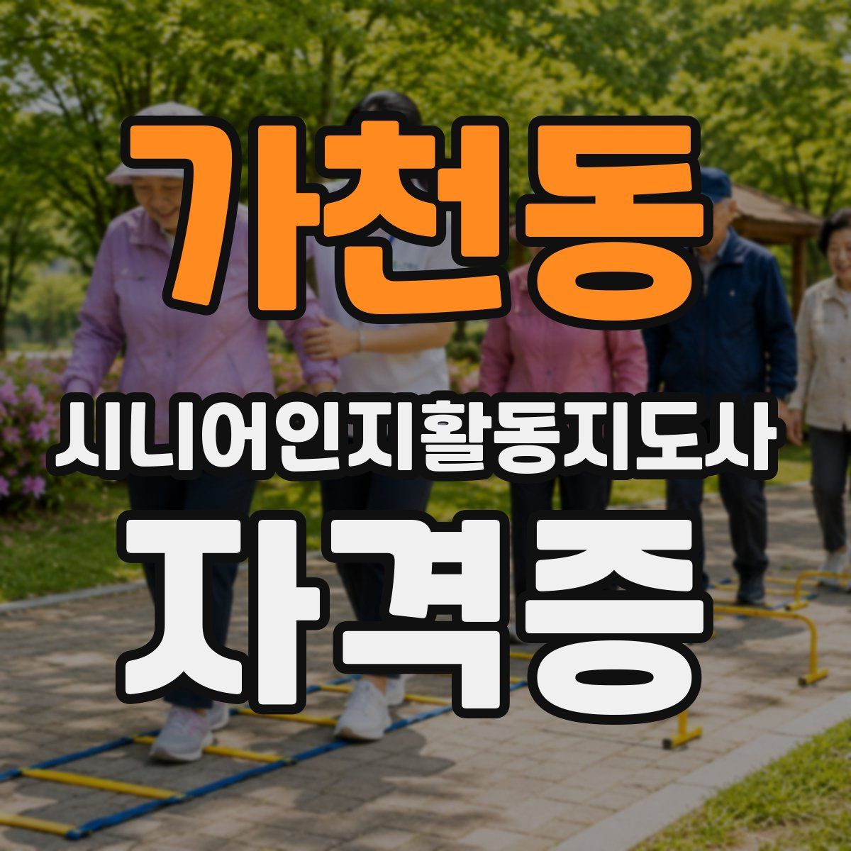 가천동 시니어인지활동지도사 자격증