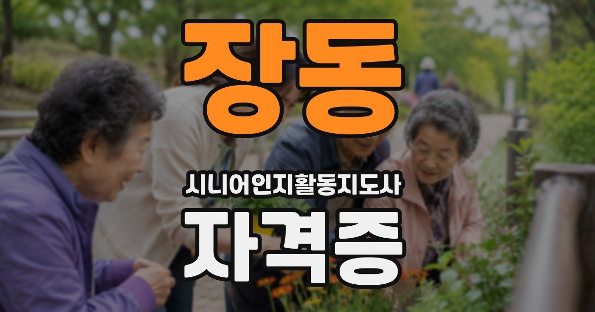 장동 시니어인지활동지도사 자격증