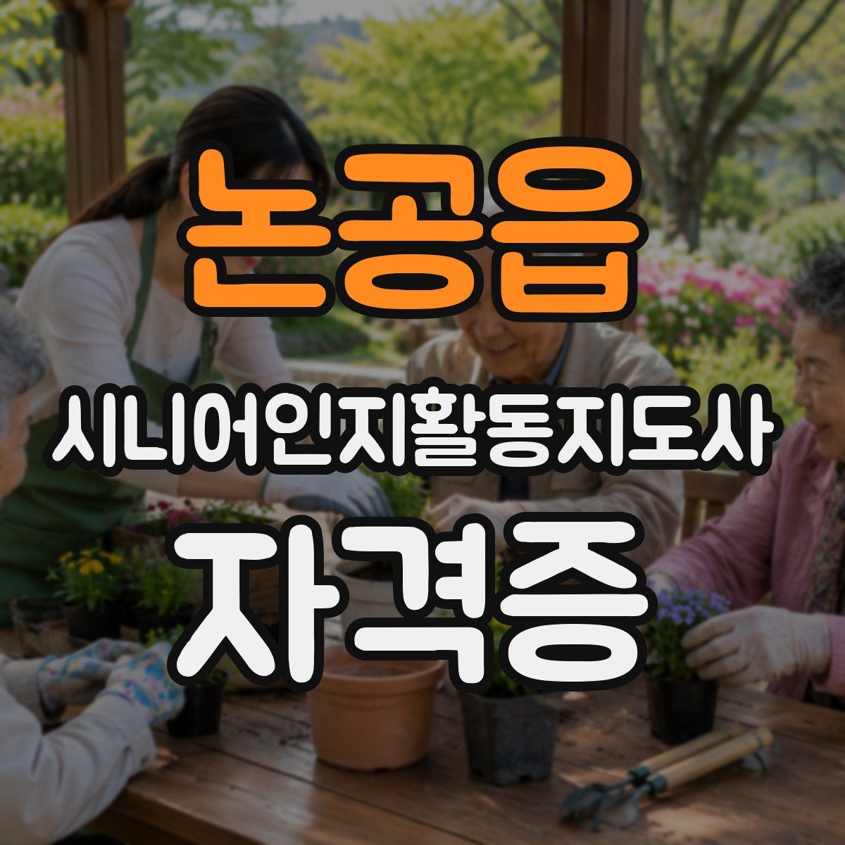 논공읍 시니어인지활동지도사 자격증