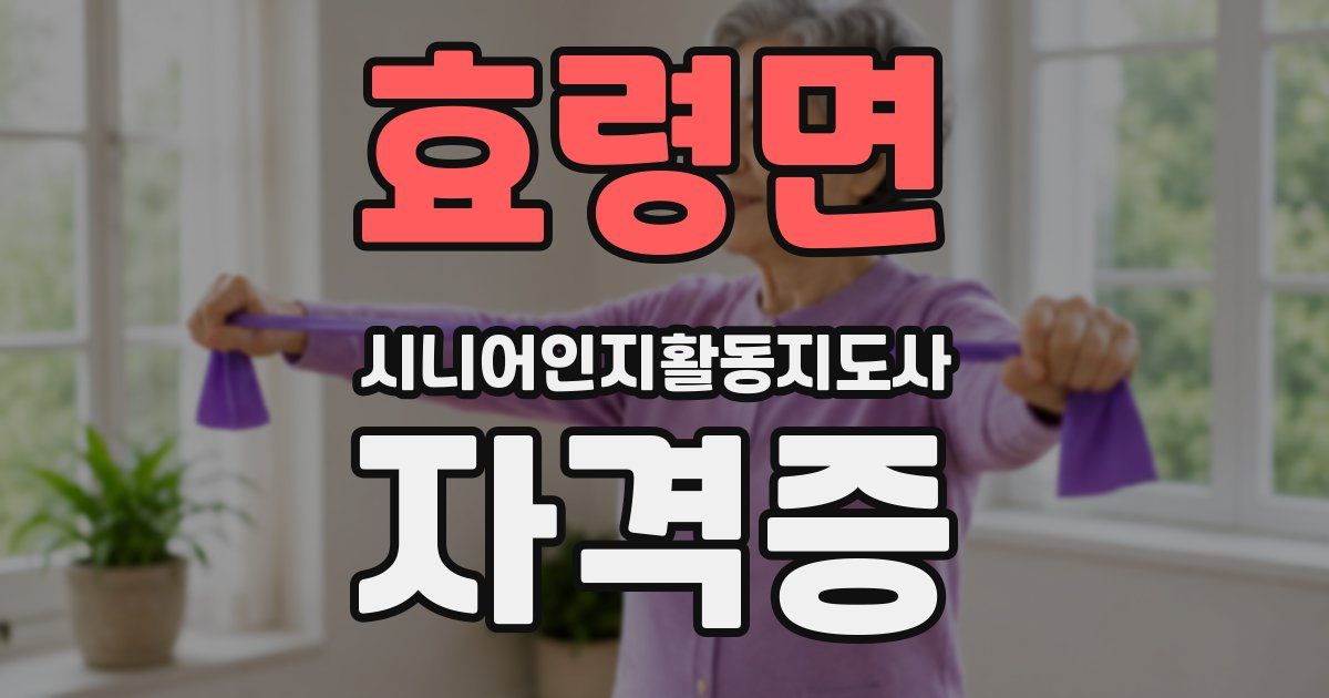 효령면 시니어인지활동지도사 자격증