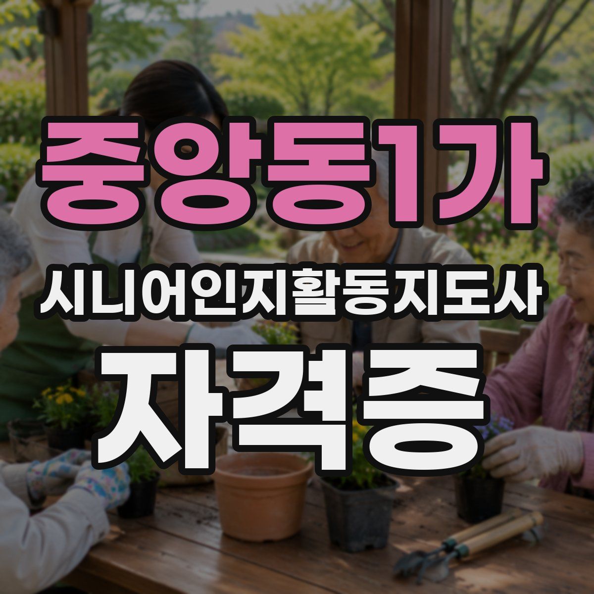 중앙동1가 시니어인지활동지도사 자격증