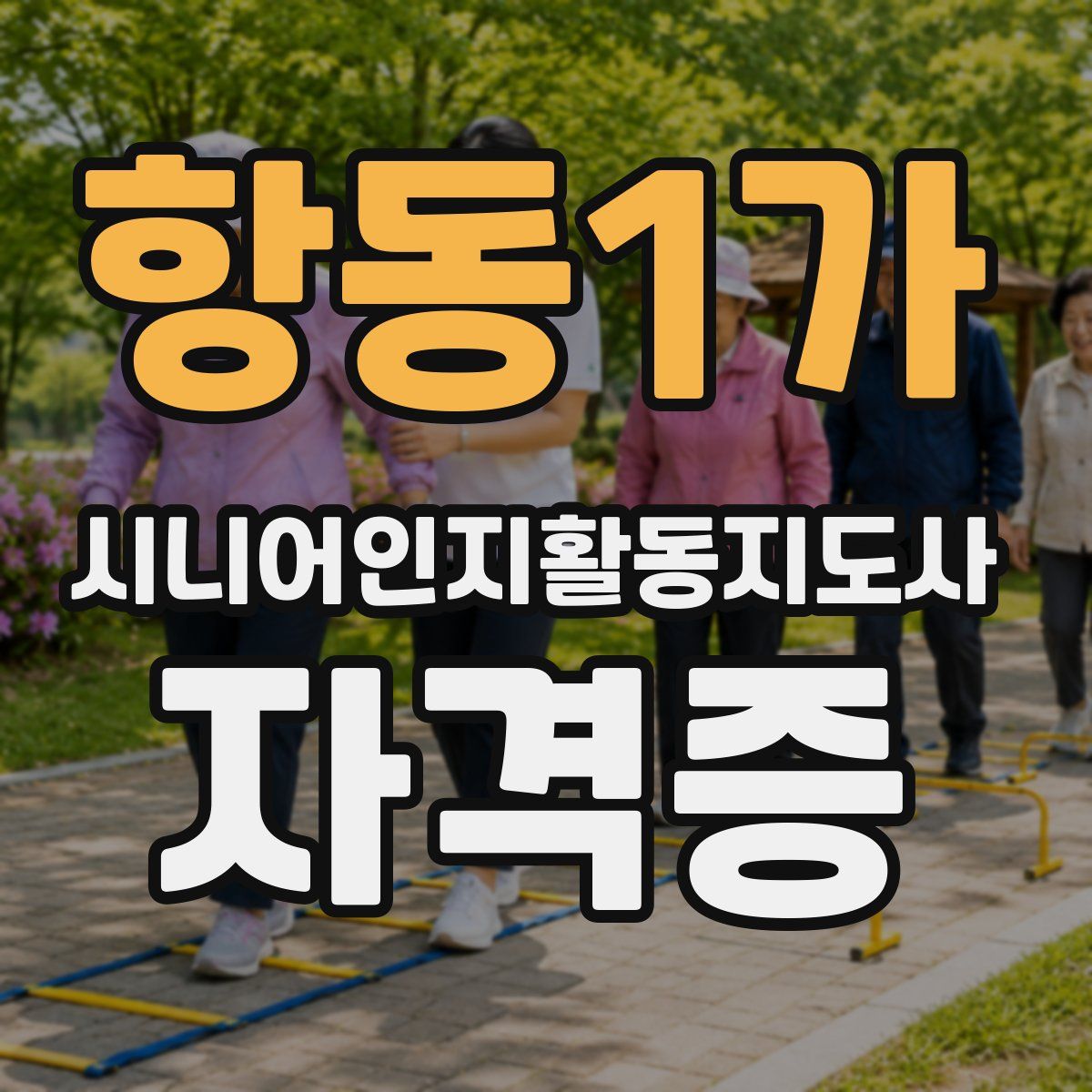 항동1가 시니어인지활동지도사 자격증