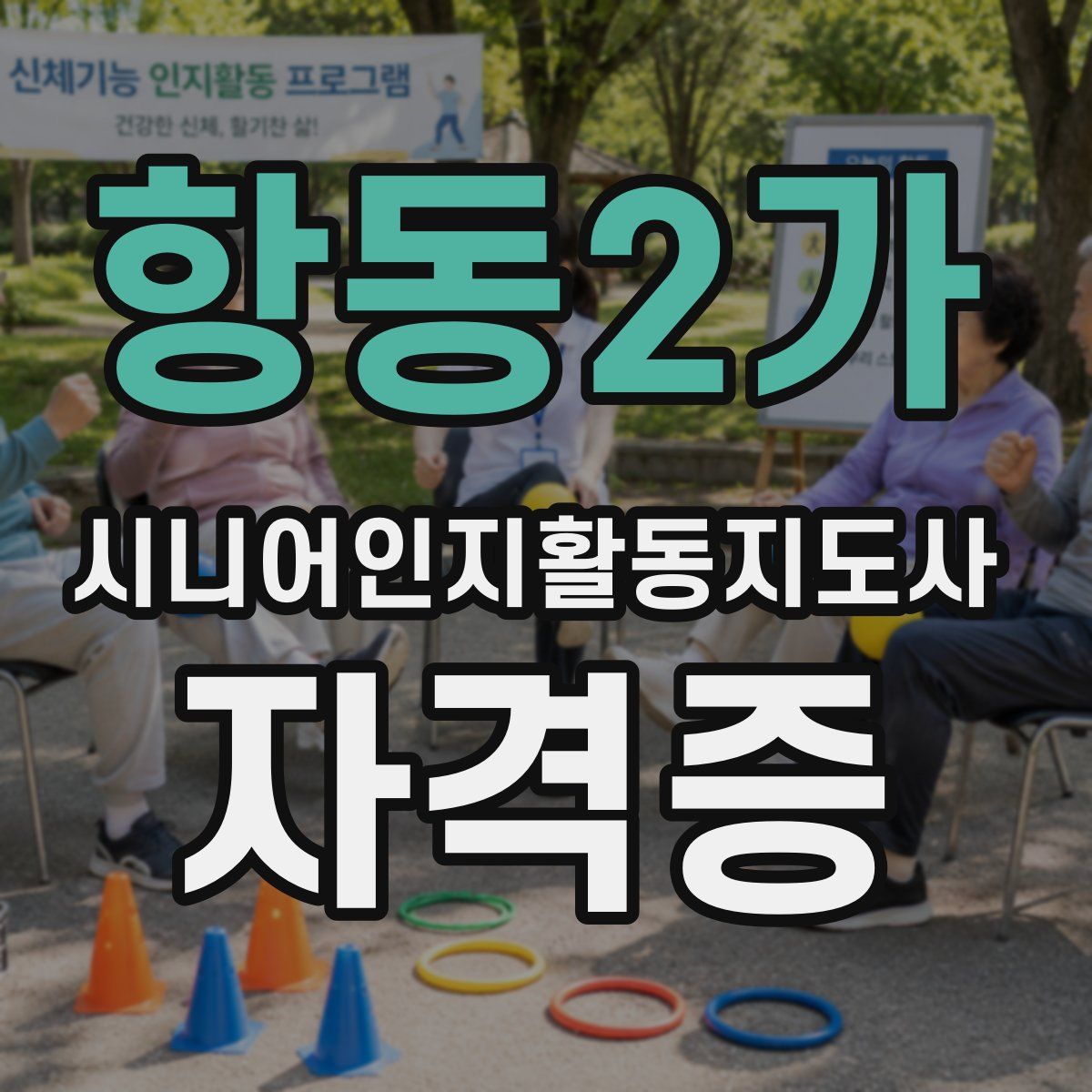 항동2가 시니어인지활동지도사 자격증