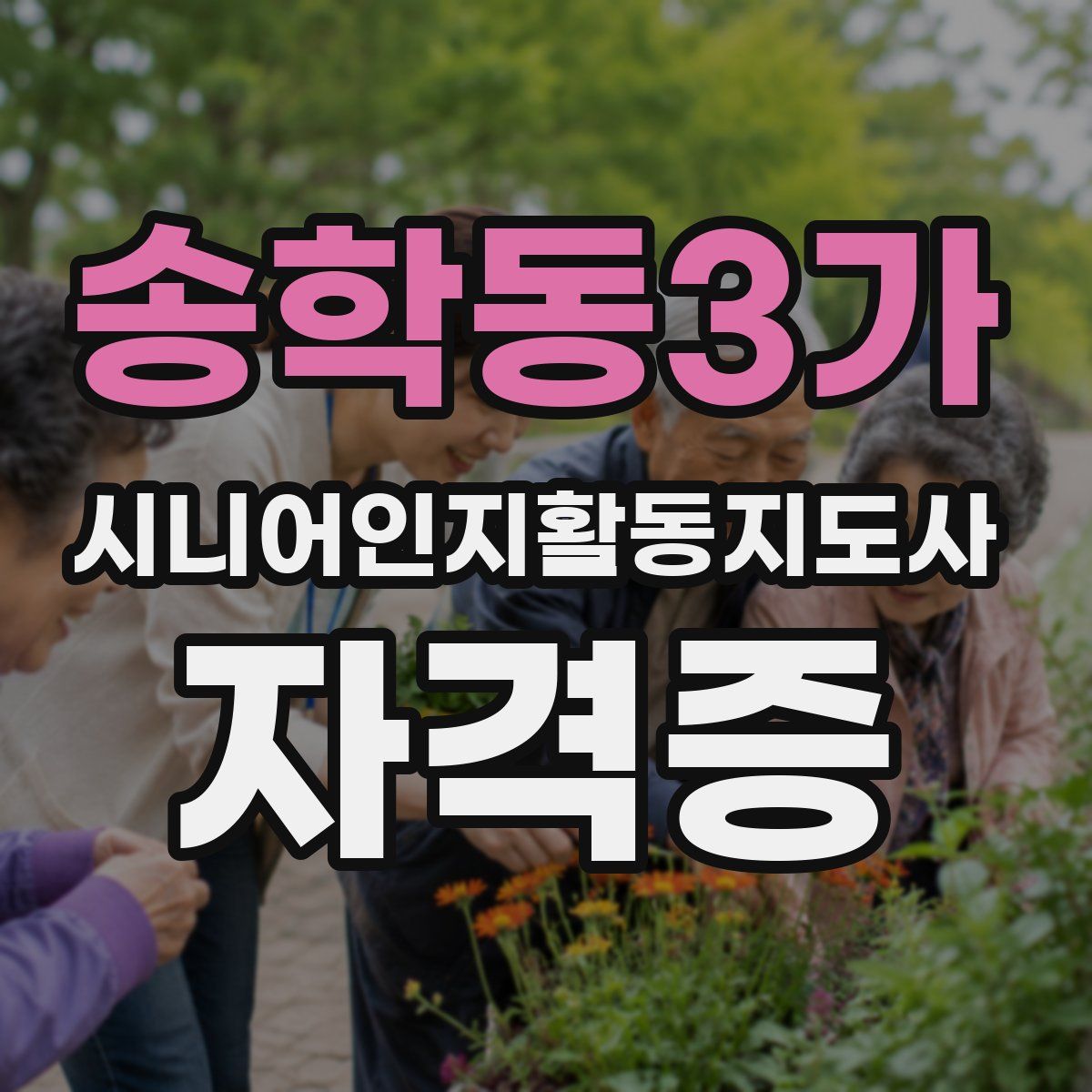 송학동3가 시니어인지활동지도사 자격증