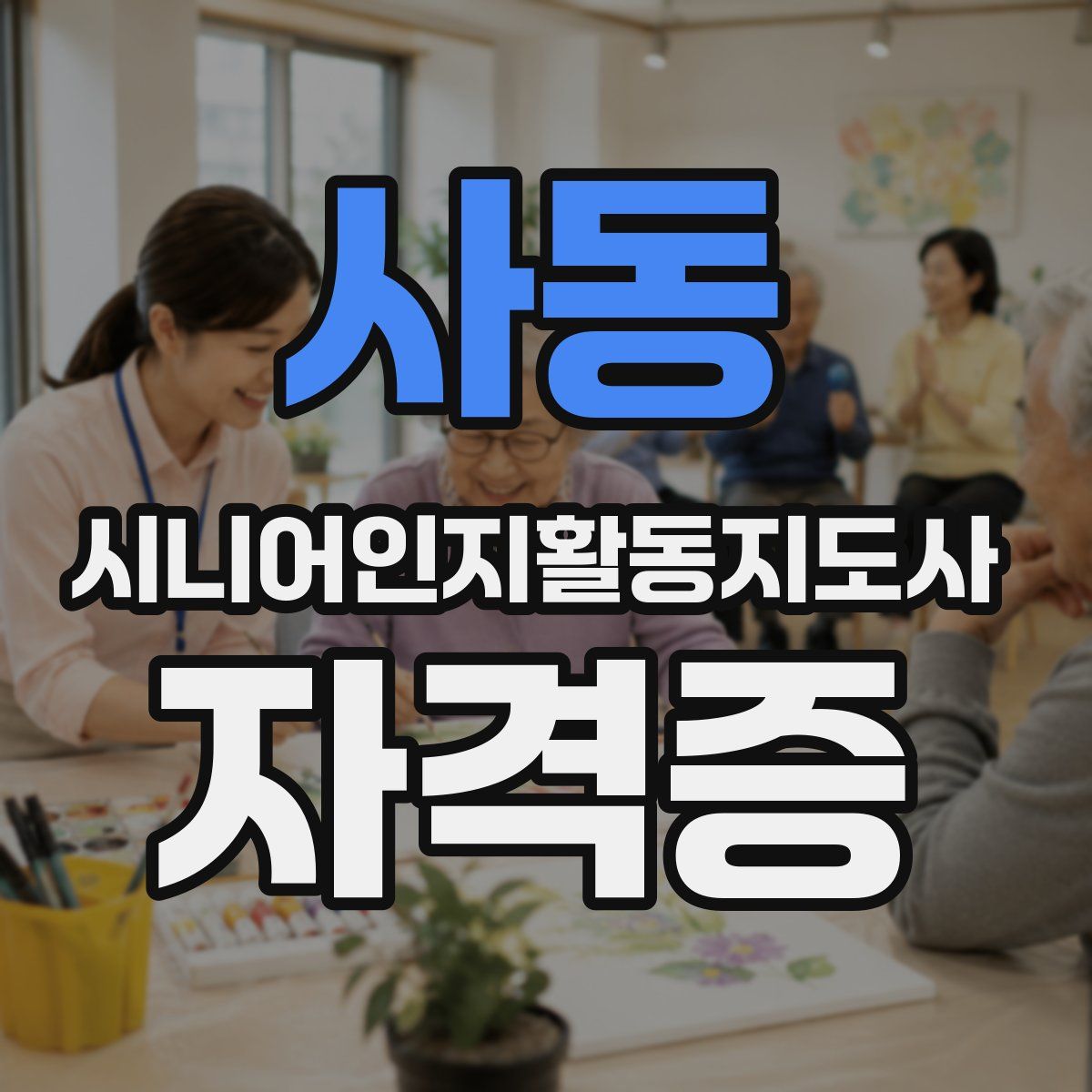 사동 시니어인지활동지도사 자격증