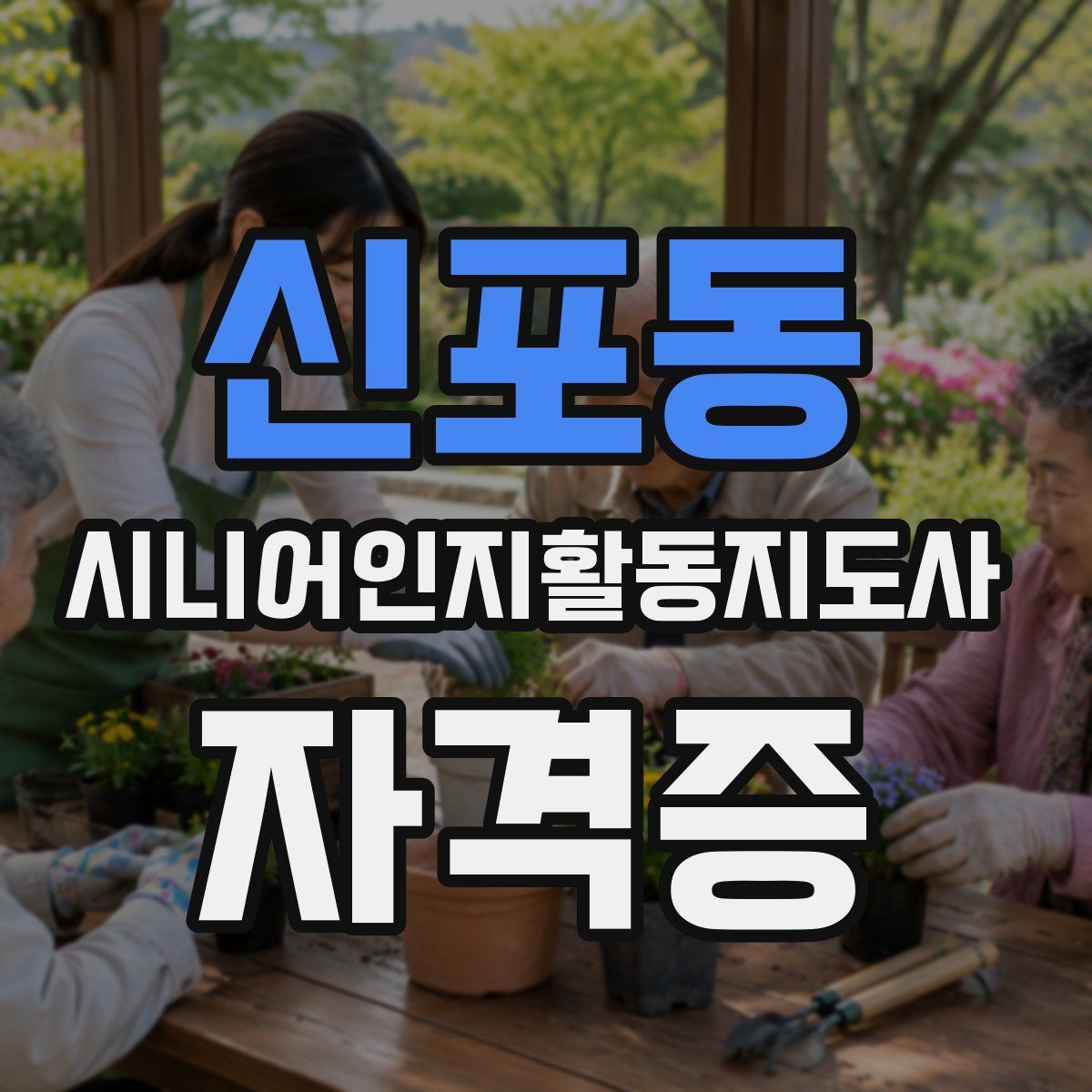 신포동 시니어인지활동지도사 자격증