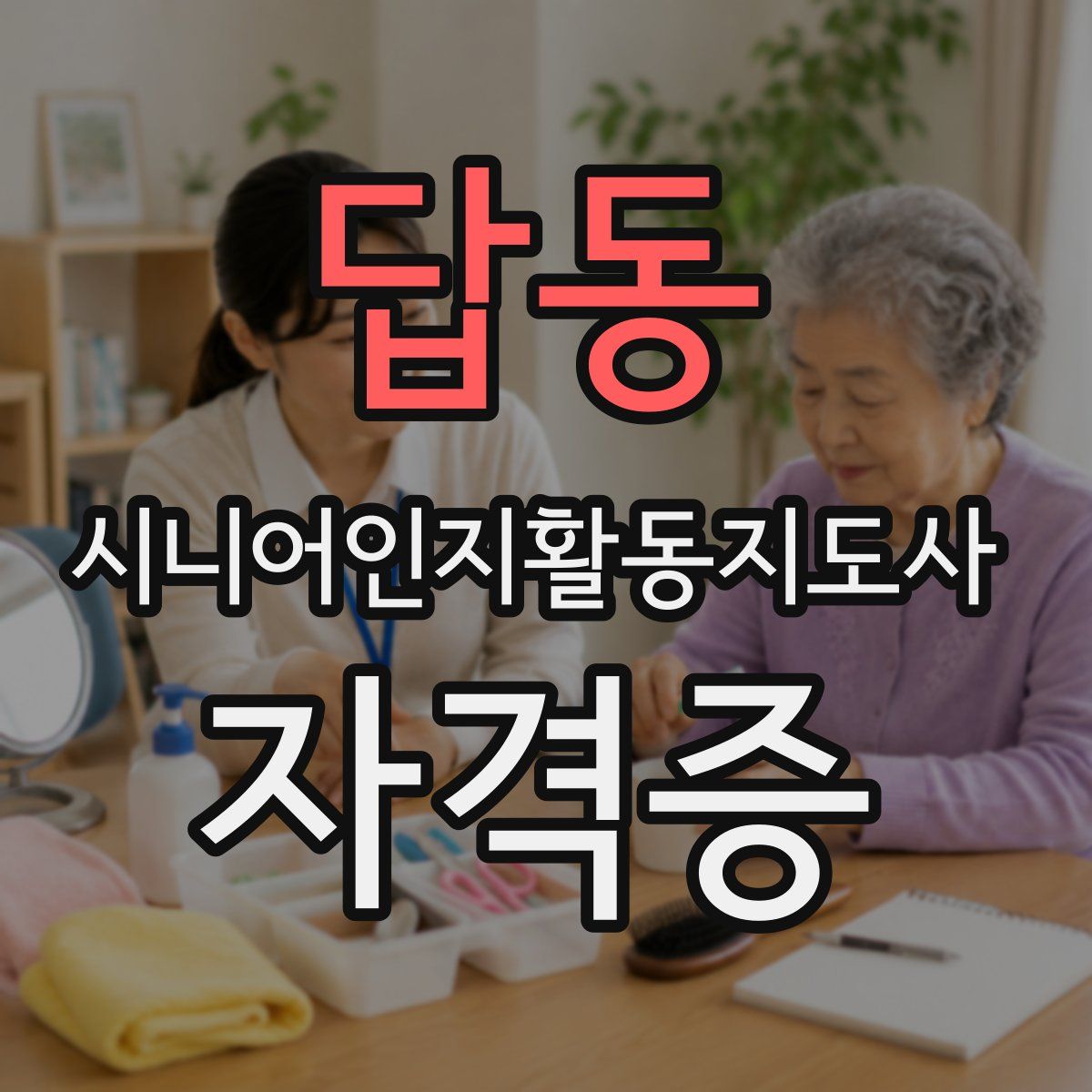 답동 시니어인지활동지도사 자격증