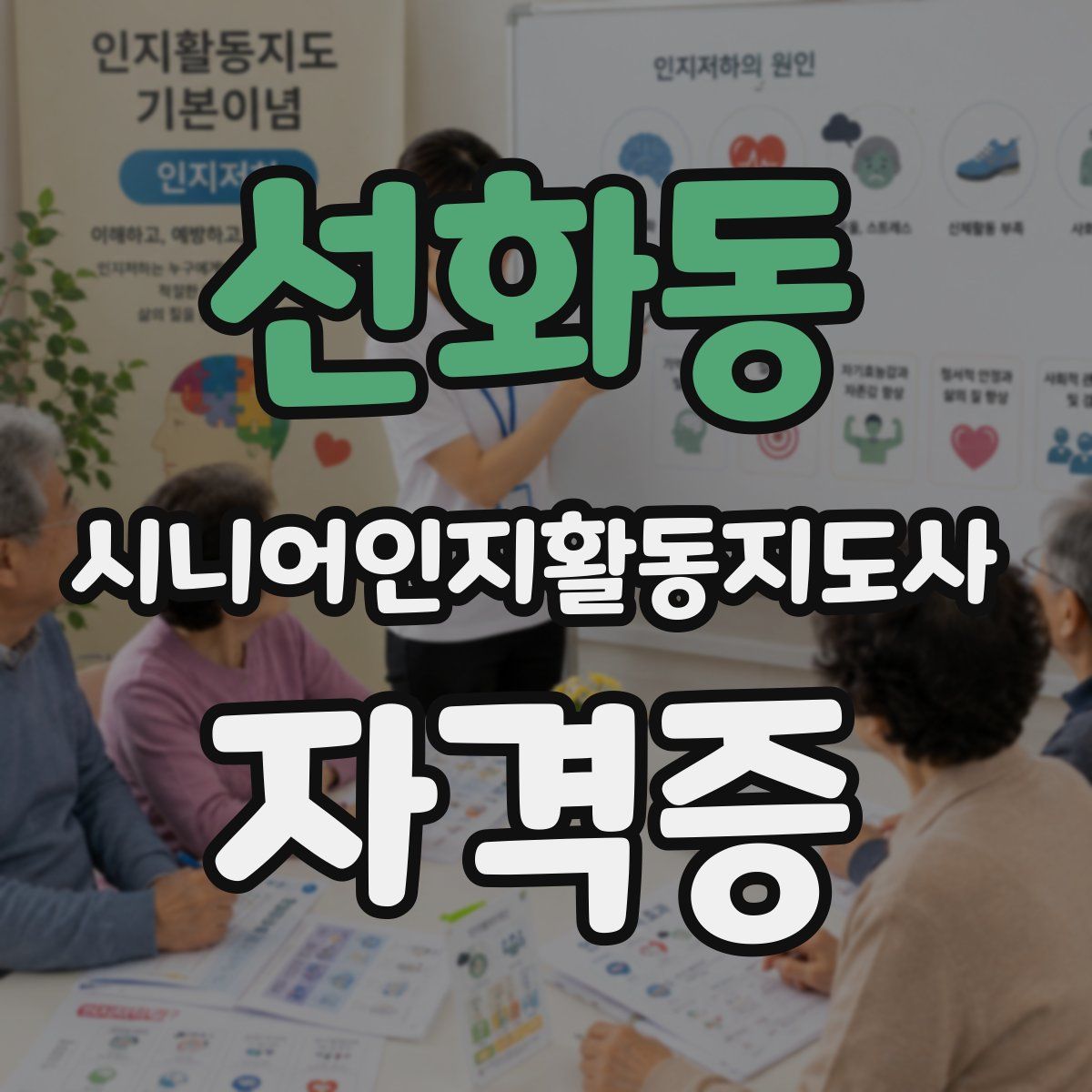 선화동 시니어인지활동지도사 자격증