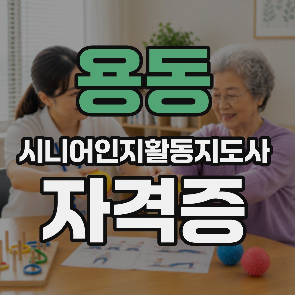 용동 시니어인지활동지도사 자격증