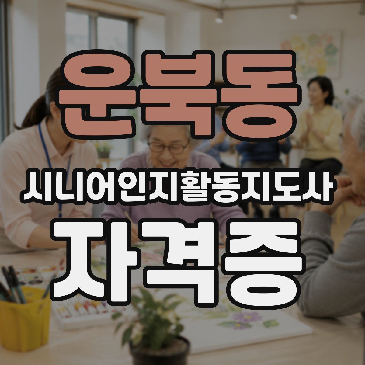 운북동 시니어인지활동지도사 자격증