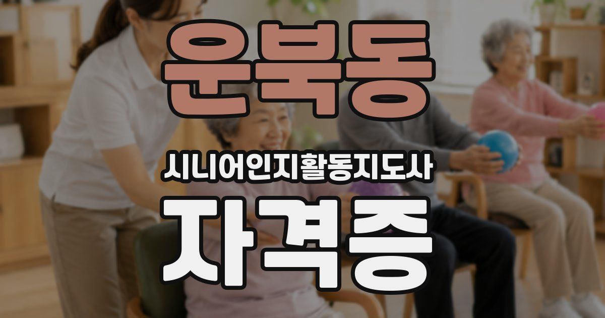 운북동 시니어인지활동지도사 자격증