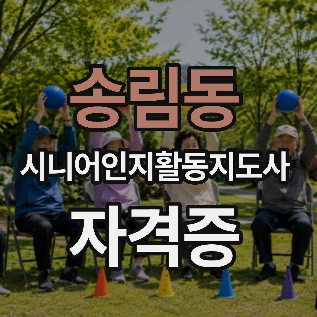 송림동 시니어인지활동지도사 자격증