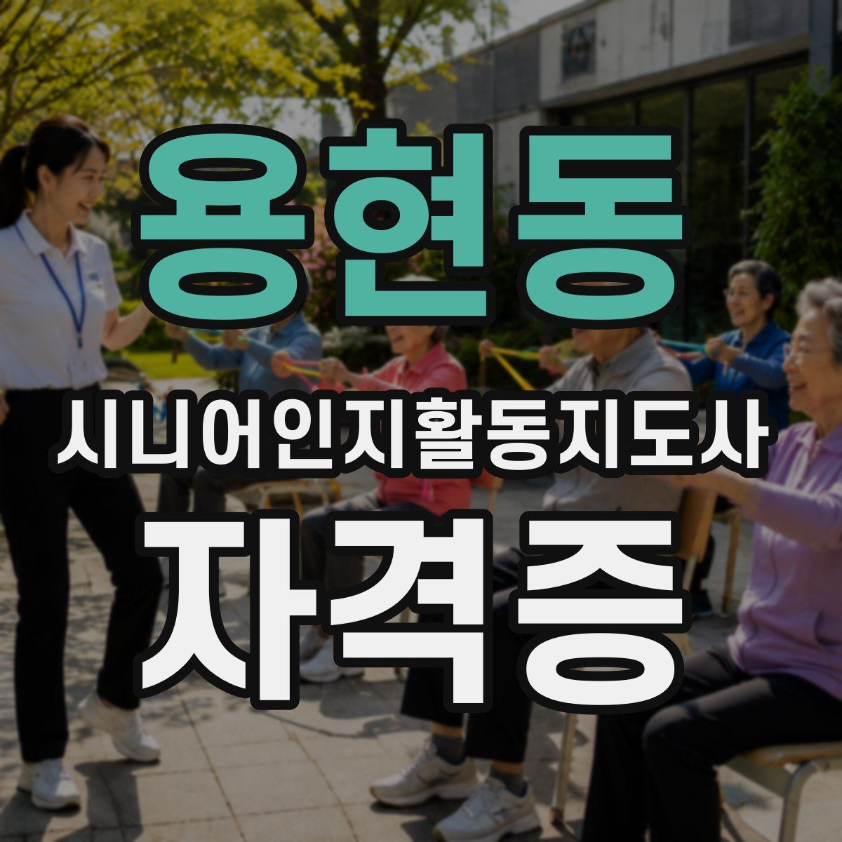 용현동 시니어인지활동지도사 자격증