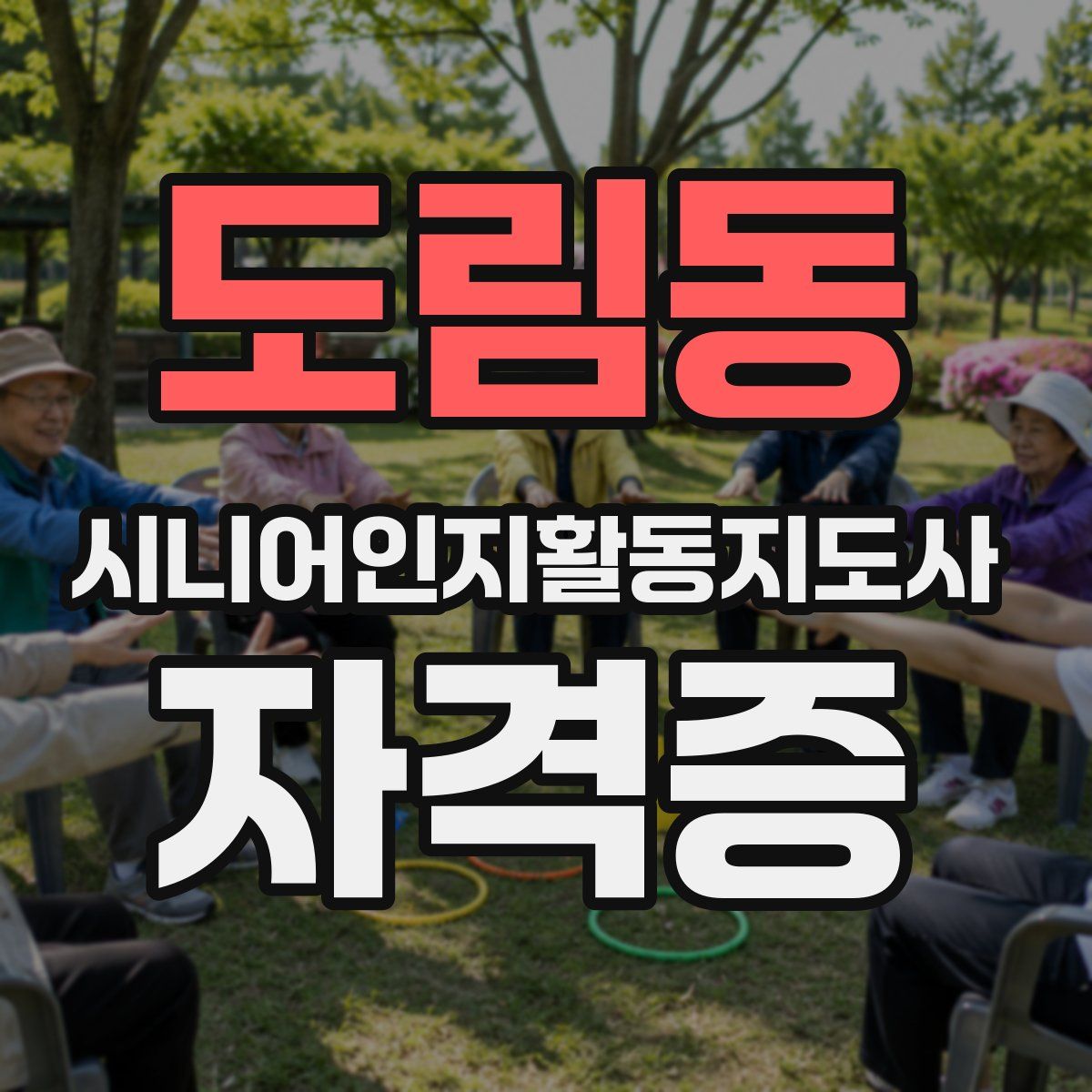 도림동 시니어인지활동지도사 자격증