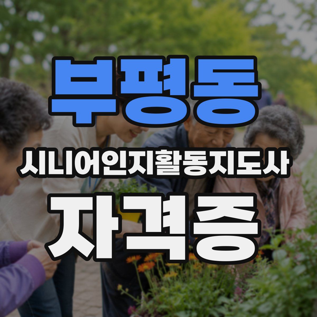 부평동 시니어인지활동지도사 자격증