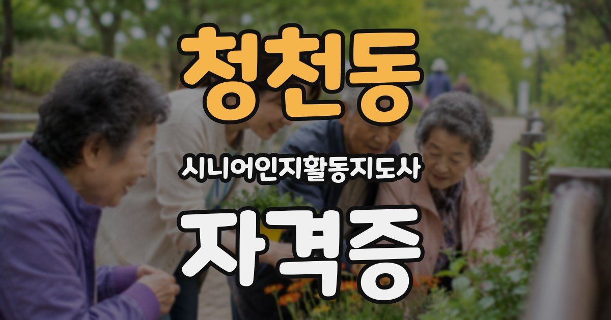 청천동 시니어인지활동지도사 자격증