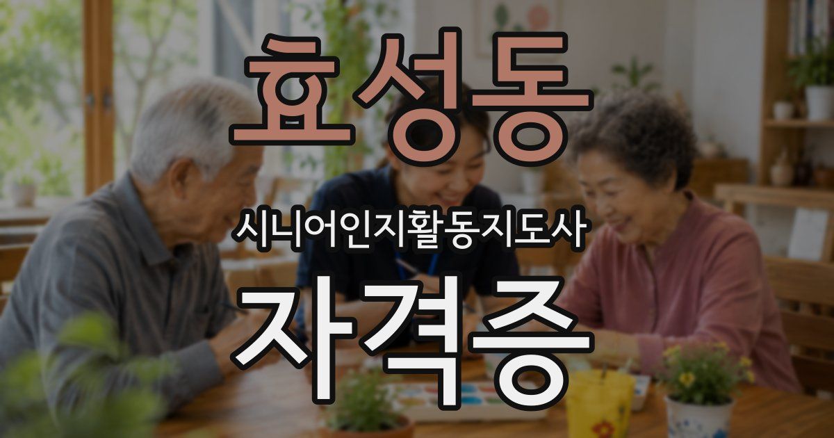 효성동 시니어인지활동지도사 자격증