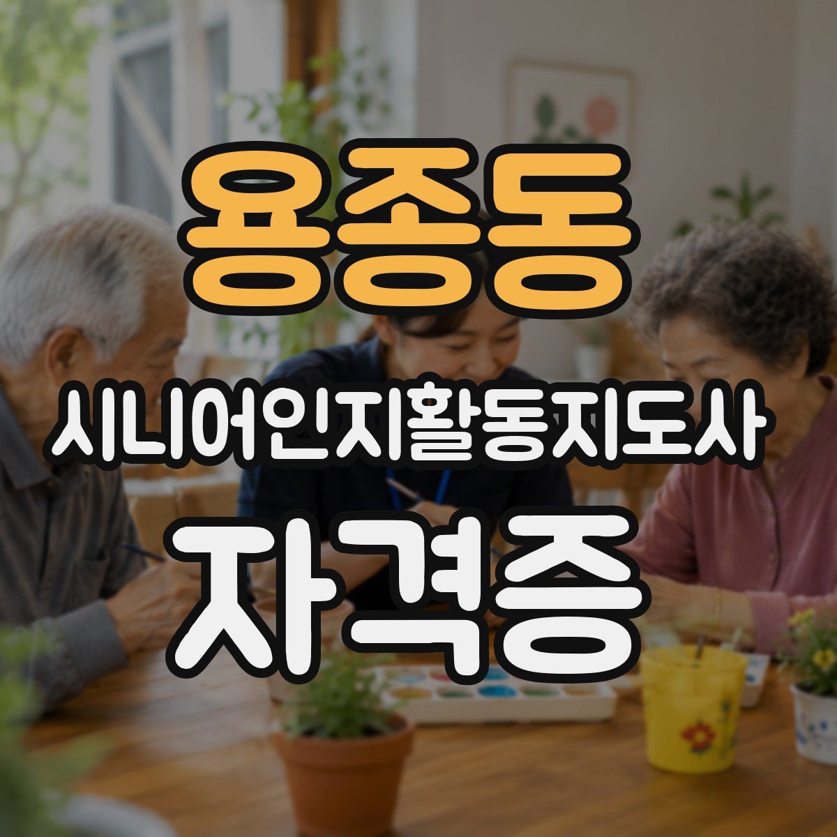 용종동 시니어인지활동지도사 자격증