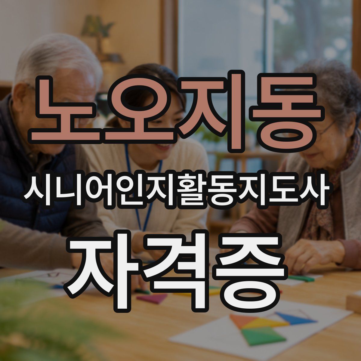 노오지동 시니어인지활동지도사 자격증
