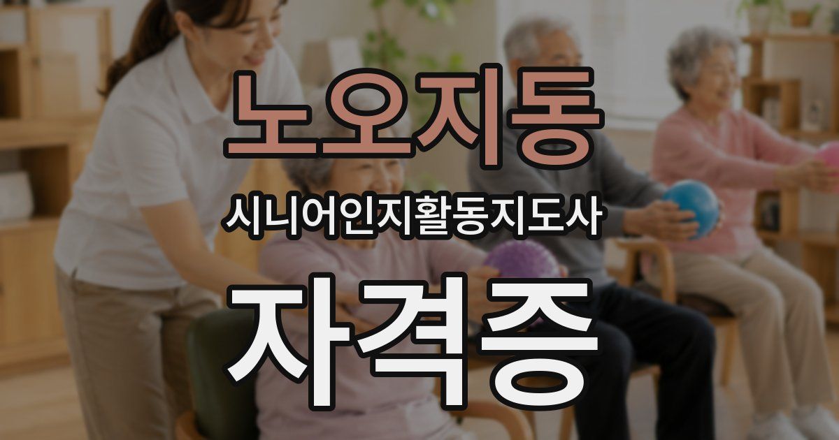 노오지동 시니어인지활동지도사 자격증
