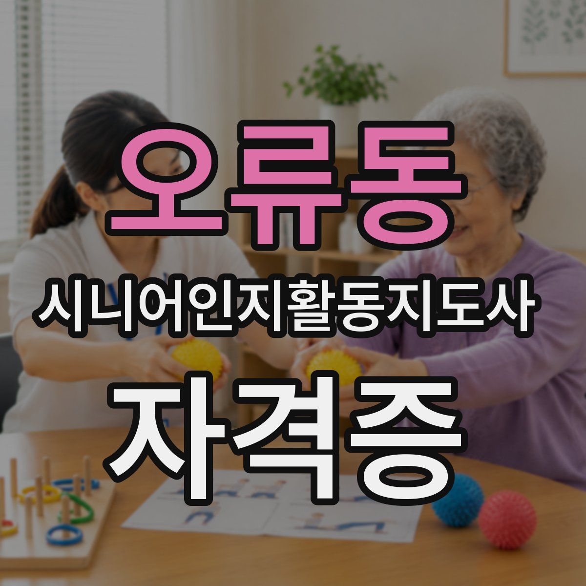 오류동 시니어인지활동지도사 자격증
