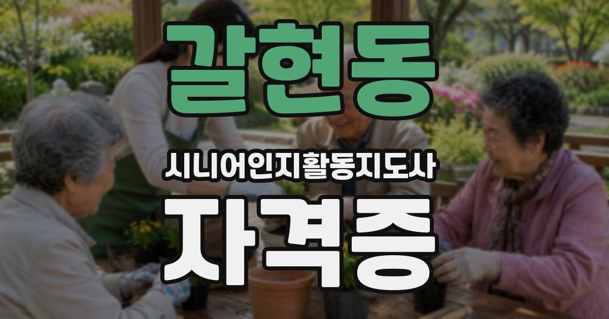 갈현동 시니어인지활동지도사 자격증