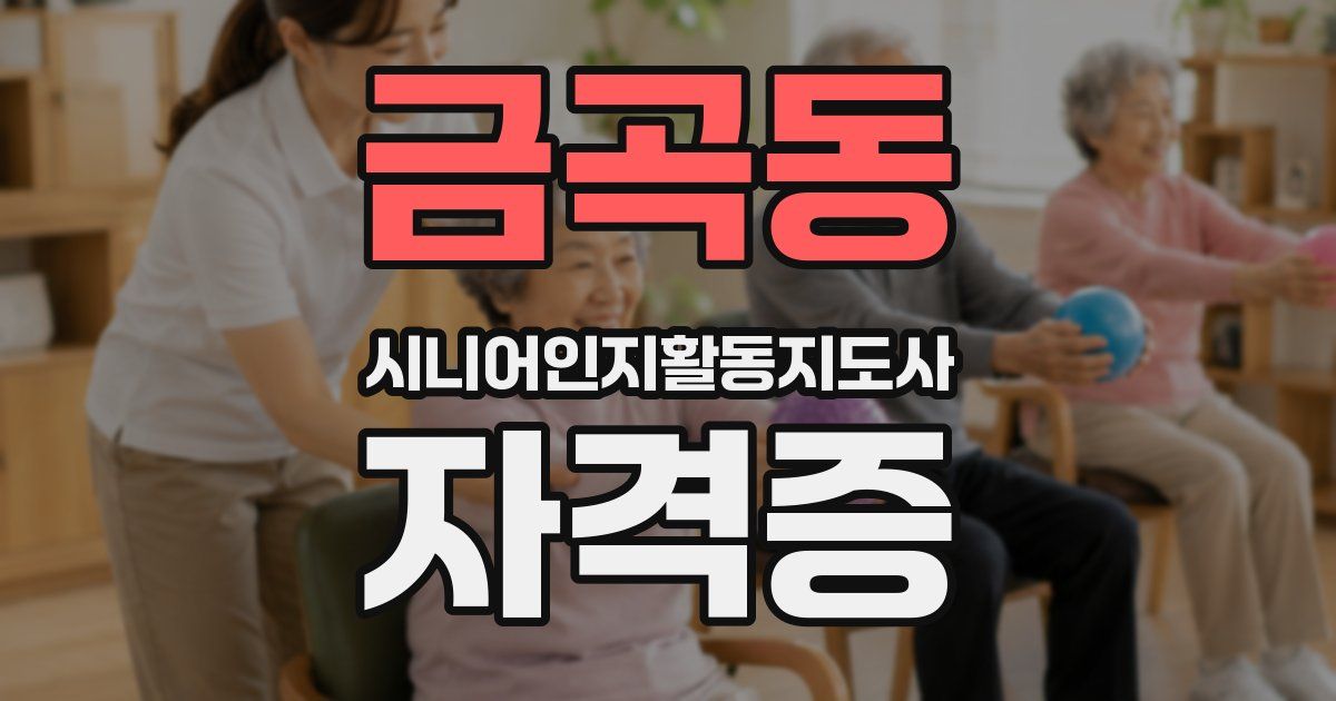 금곡동 시니어인지활동지도사 자격증