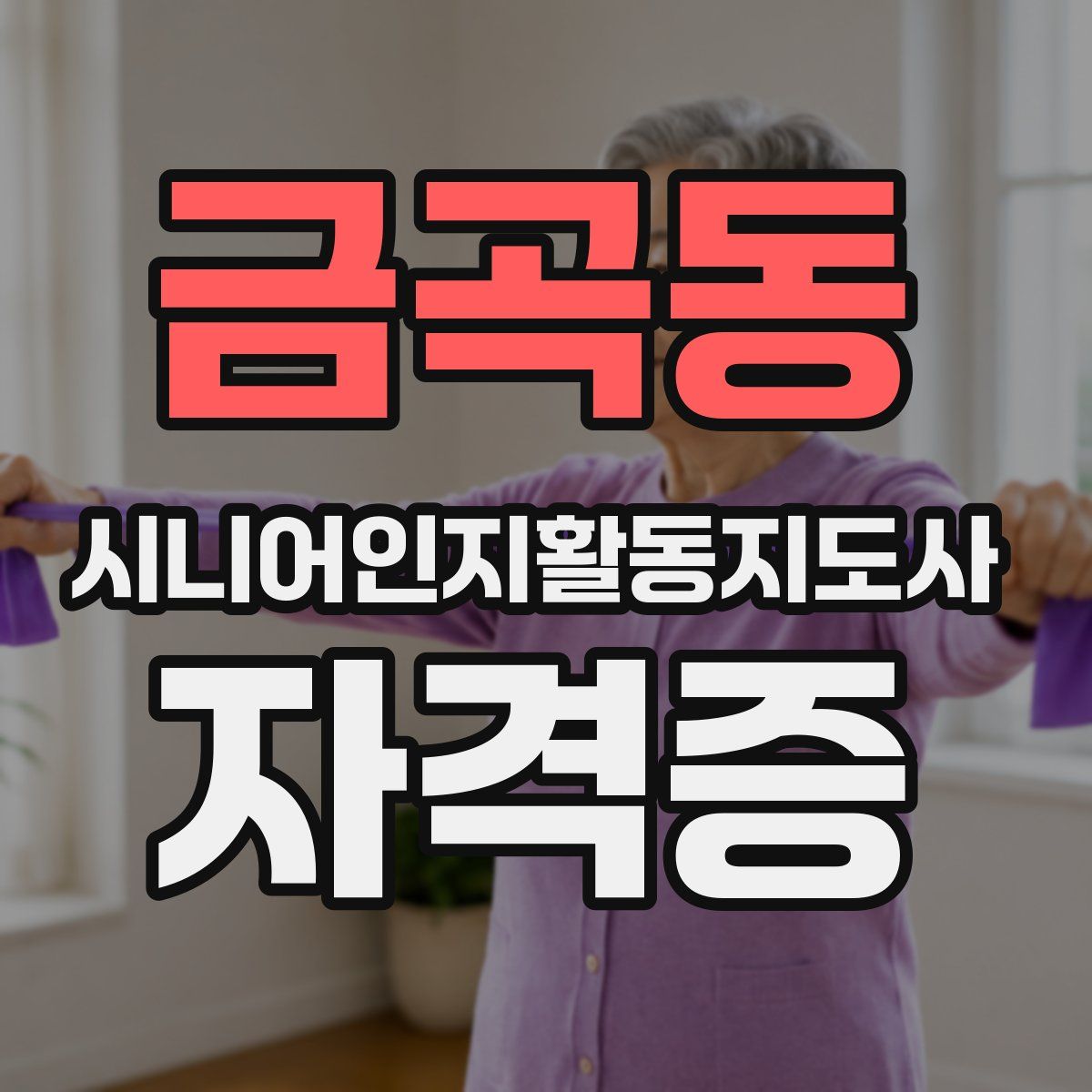 금곡동 시니어인지활동지도사 자격증