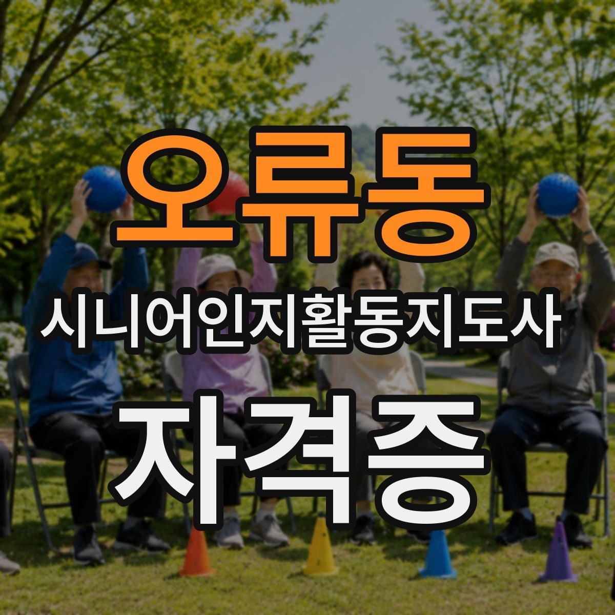 오류동 시니어인지활동지도사 자격증