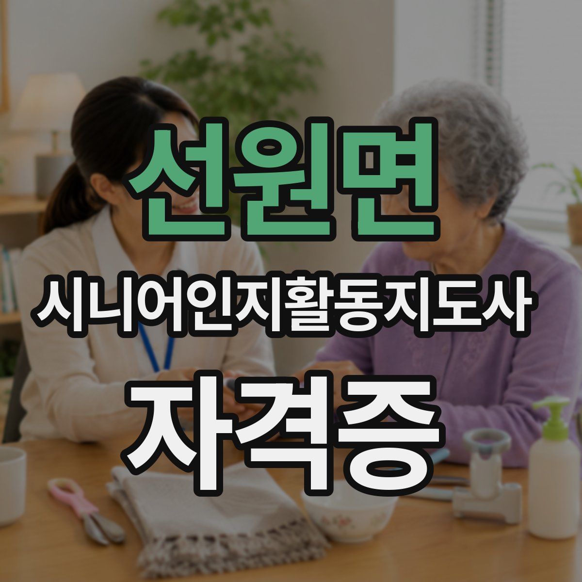 선원면 시니어인지활동지도사 자격증