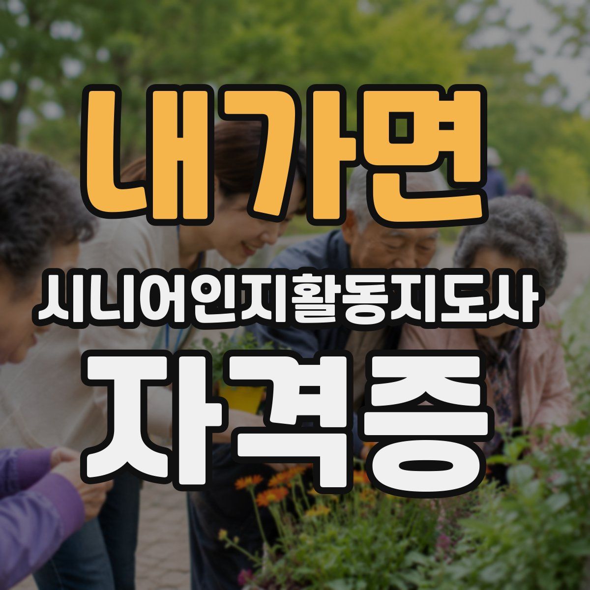 내가면 시니어인지활동지도사 자격증