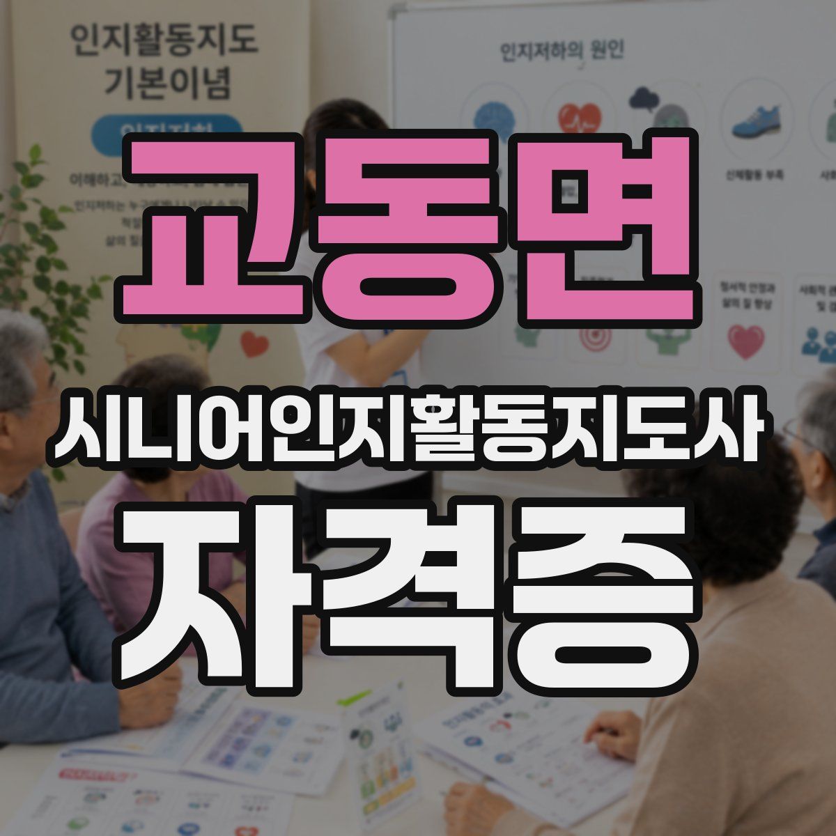 교동면 시니어인지활동지도사 자격증