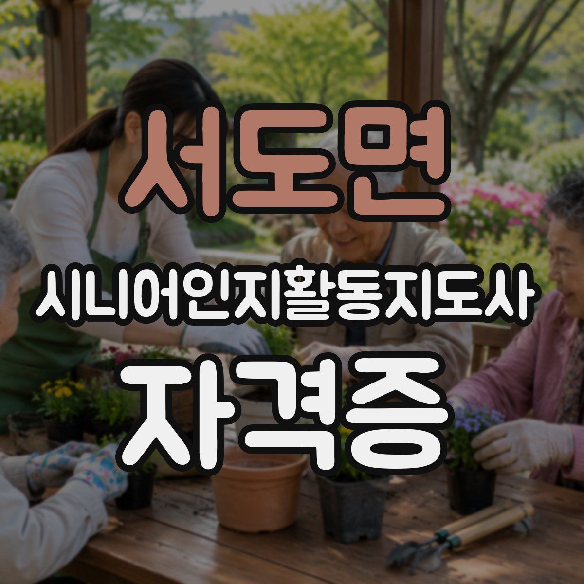 서도면 시니어인지활동지도사 자격증