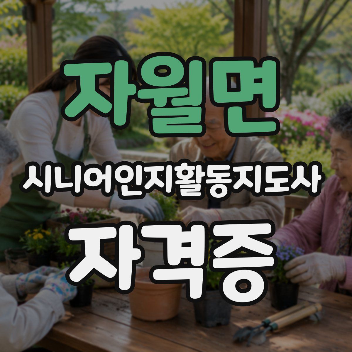 자월면 시니어인지활동지도사 자격증