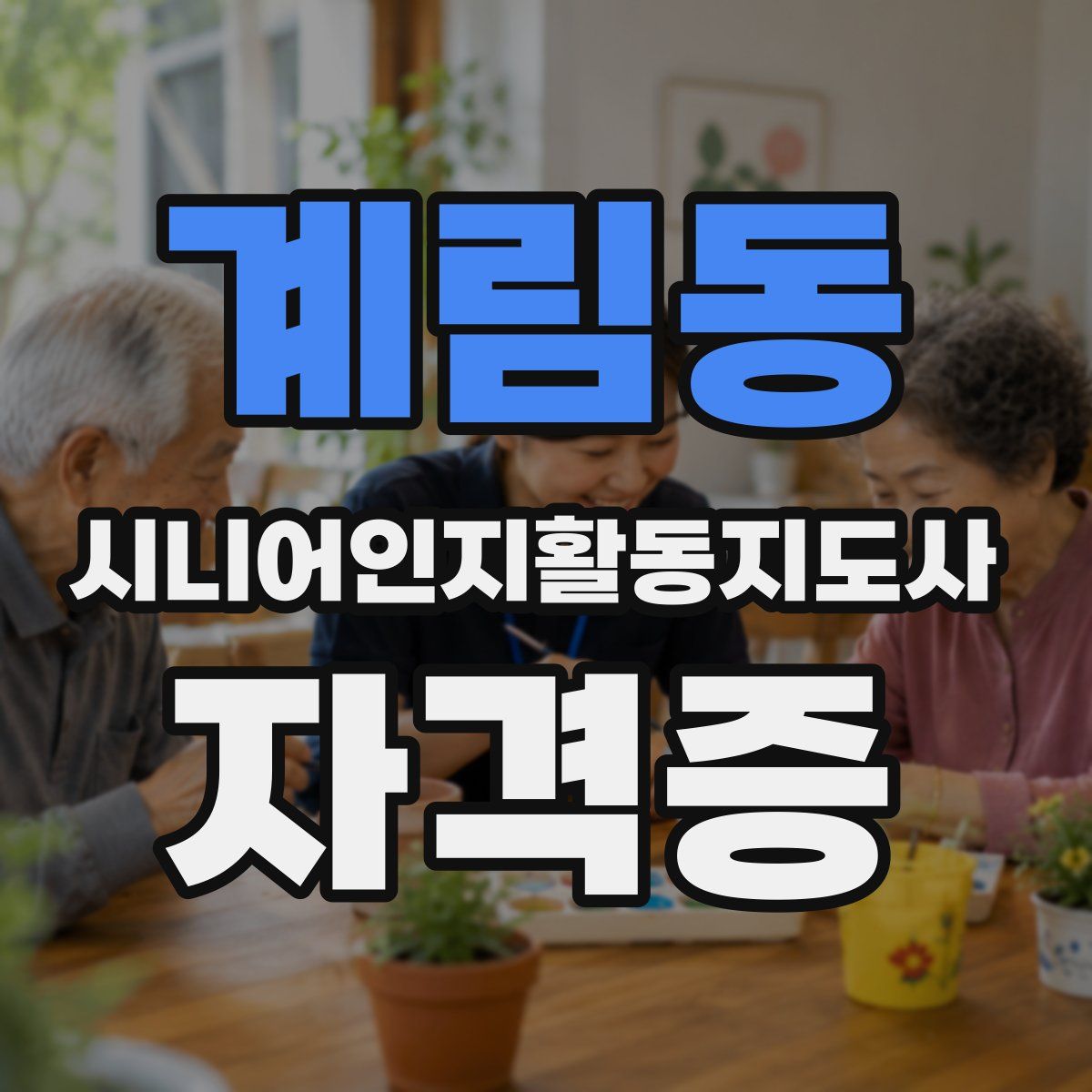 계림동 시니어인지활동지도사 자격증