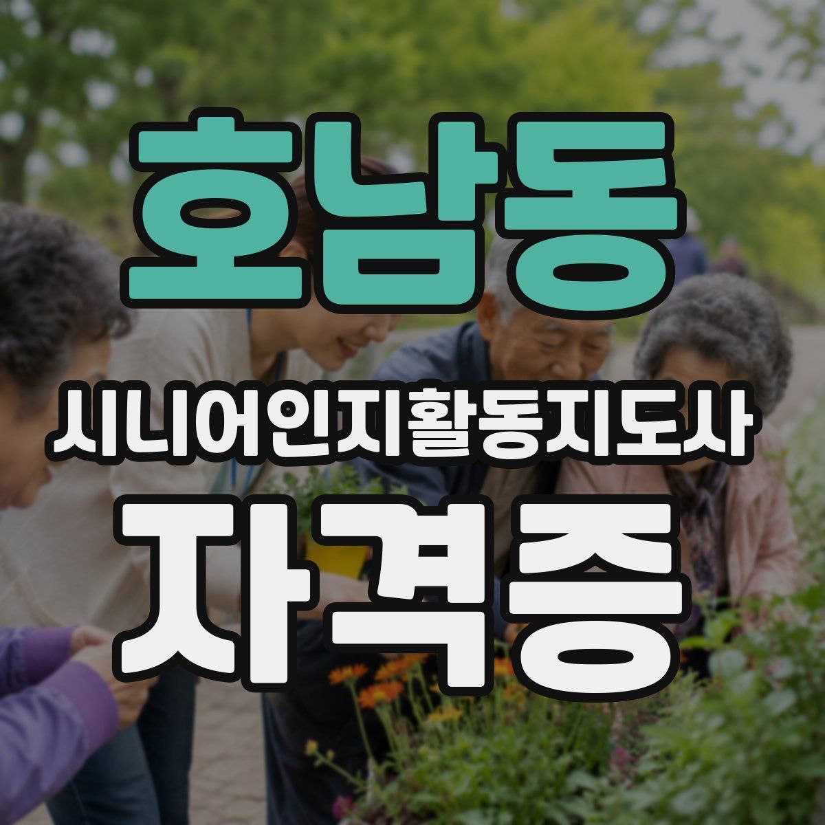 호남동 시니어인지활동지도사 자격증