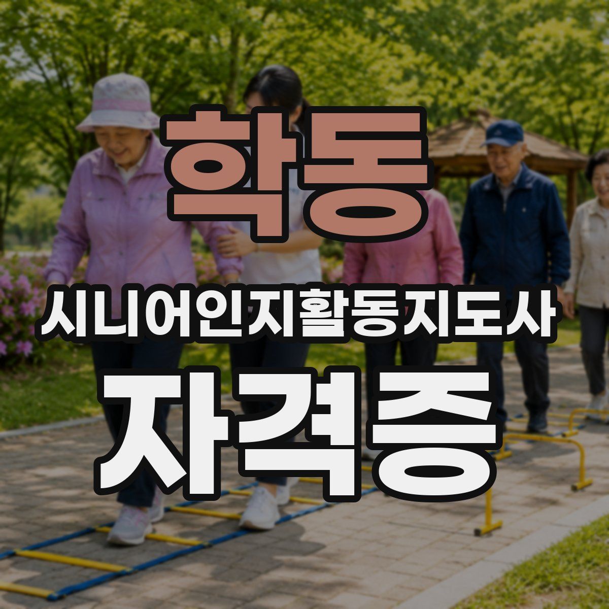 학동 시니어인지활동지도사 자격증