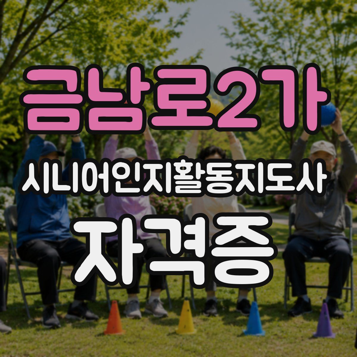 금남로2가 시니어인지활동지도사 자격증